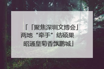 「聚焦深圳文博会」两地“牵手”结硕果 昭通皇菊香飘鹏城